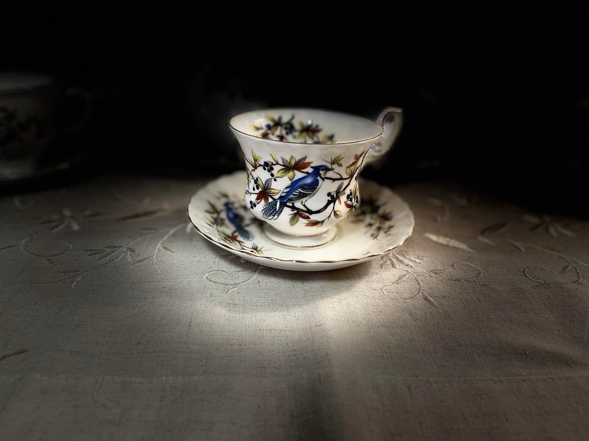 Royal Albert 'Blue Jay' Tea Cup & Saucer Set